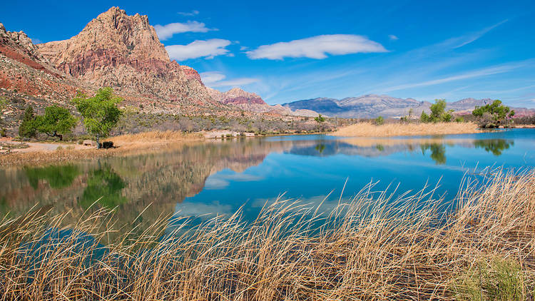 Spring Mountain Ranch State Park 