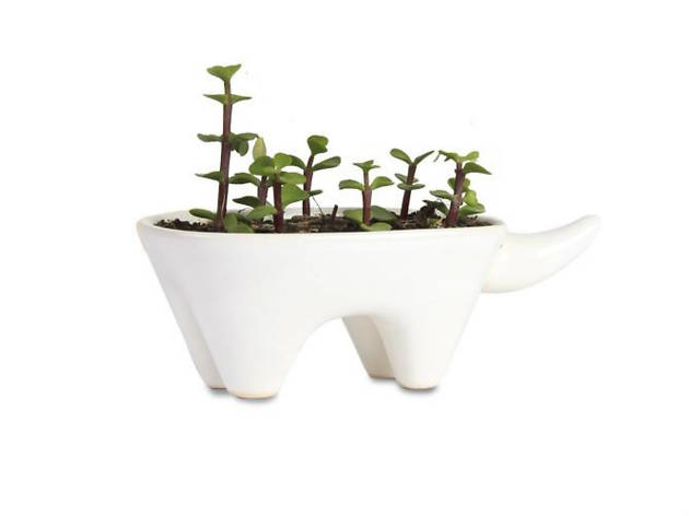 O-lab Plantas y macetas para niños