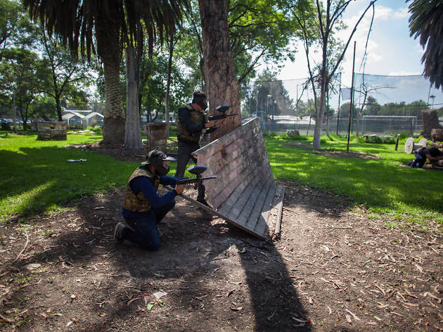 Gotcha Osos Gotcha osos entre los mejores gotchas de la ciudad de México