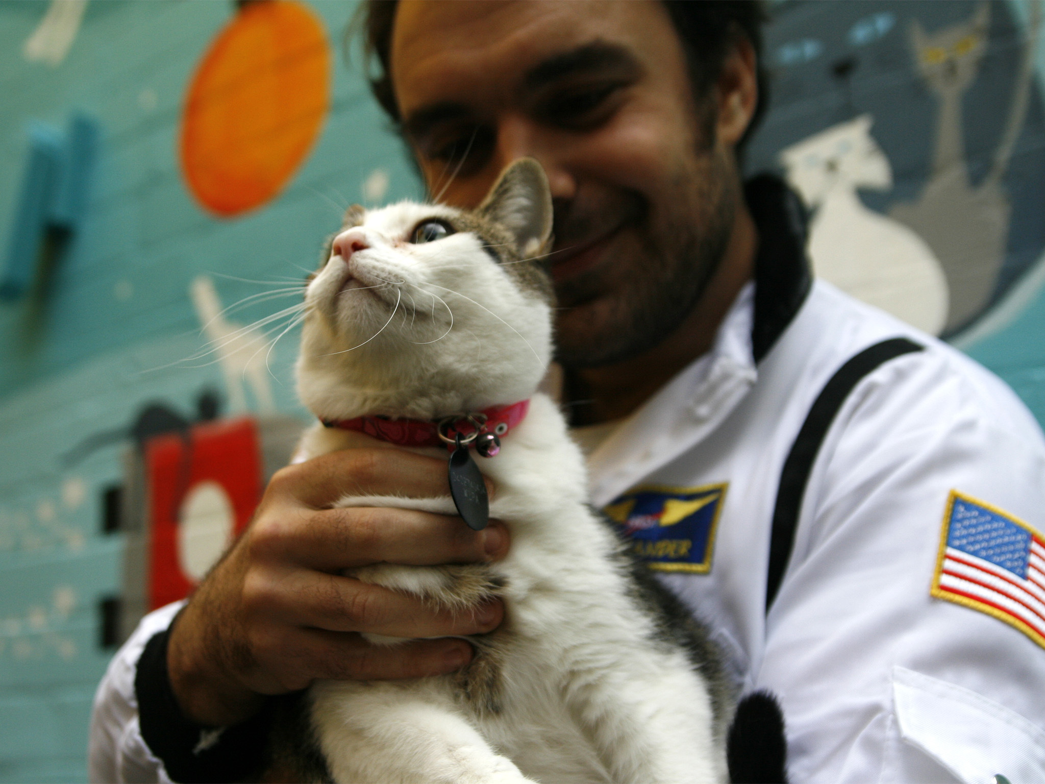 Catmosphere cat cafe