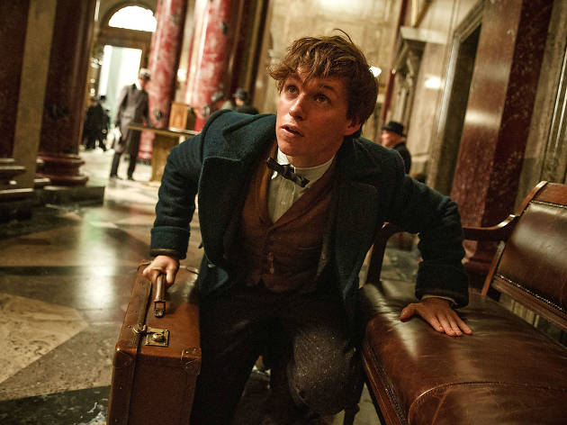 Fantastic Beasts and Where To Find Them screening Fantastic Beasts and Where To Find Them screening