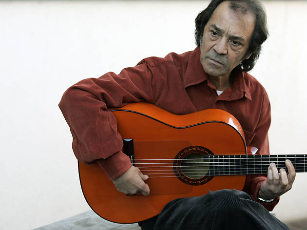 Habichuela Habichuela