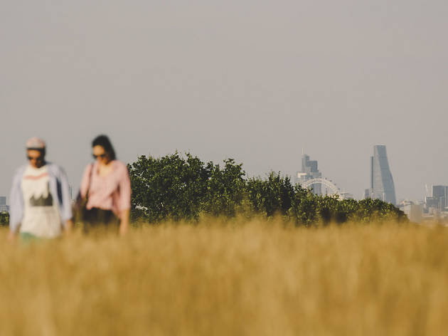 Couple walk through London park in summer Couple walk through London park in summer