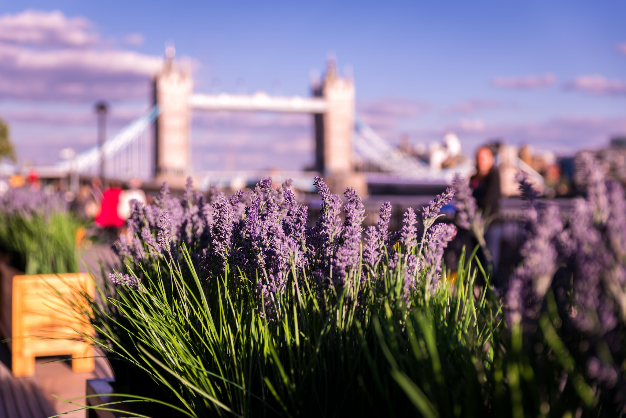 27 sizzling photos of summer in London