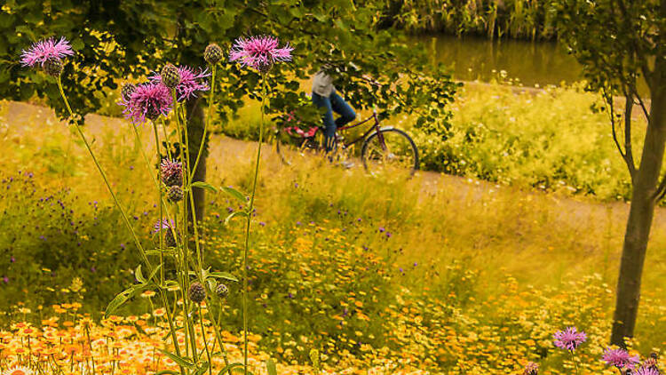 Cycling through the Olympic Park