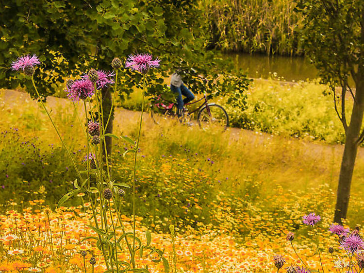 Cycling through the Olympic Park