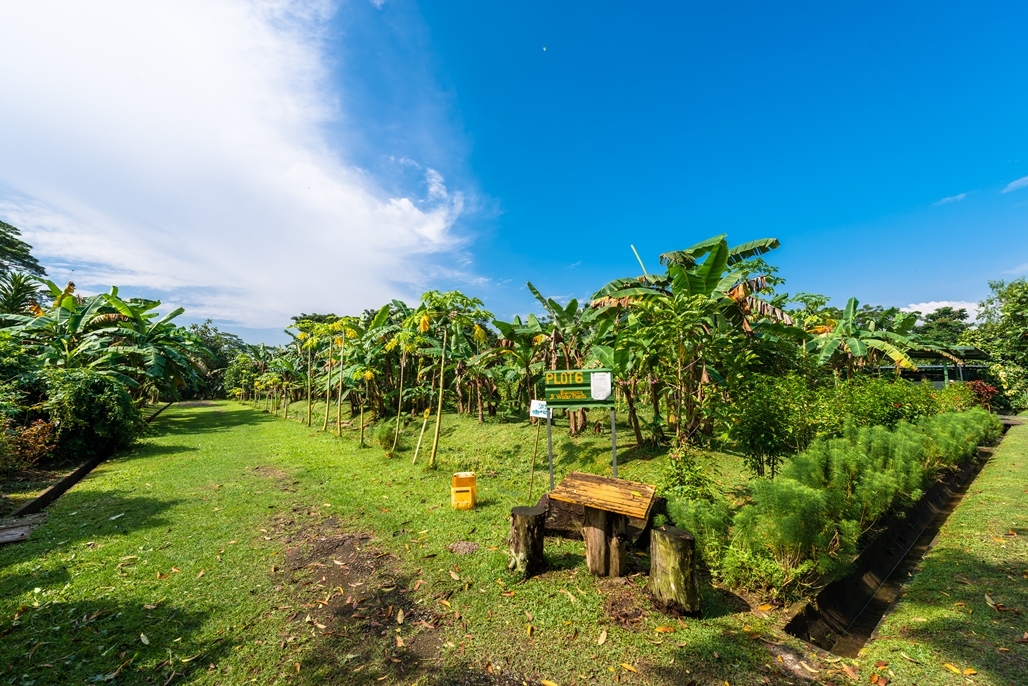 Kids & Family Friendly Activities | Time Out Singapore