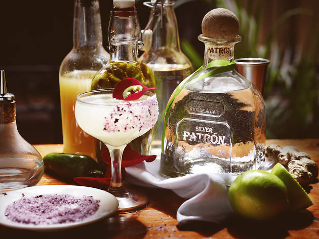 Tequila & Mezcal Fest Tequila & Mezcal Fest