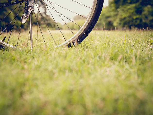 Bici, gespa Bici, gespa