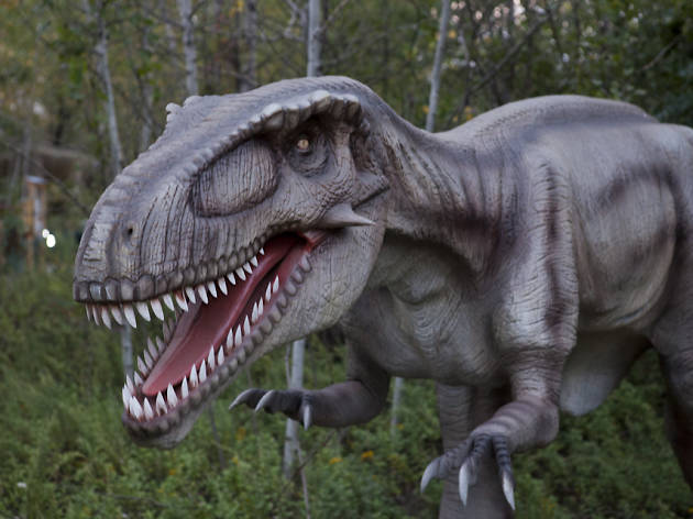 Dinosaurios Dinosaurios