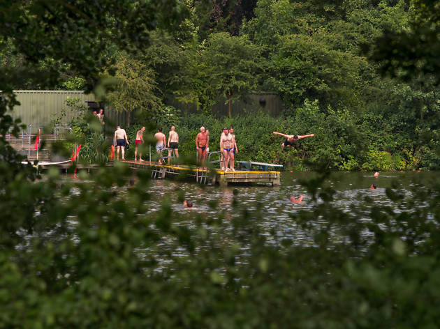 Summer swimmers at the Men's Pond in Hampstead Heath Summer swimmers at the Men's Pond in Hampstead Heath