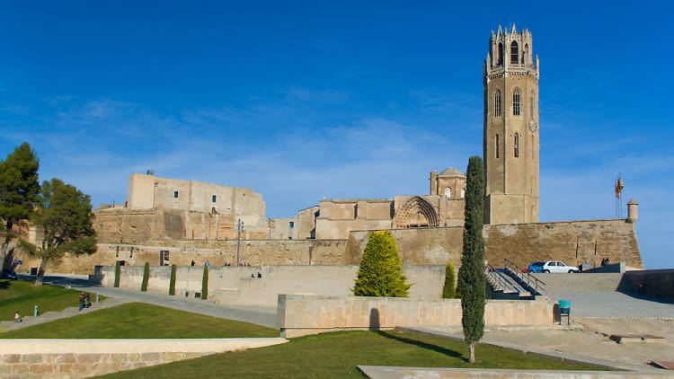 Seu Vella of Lleida