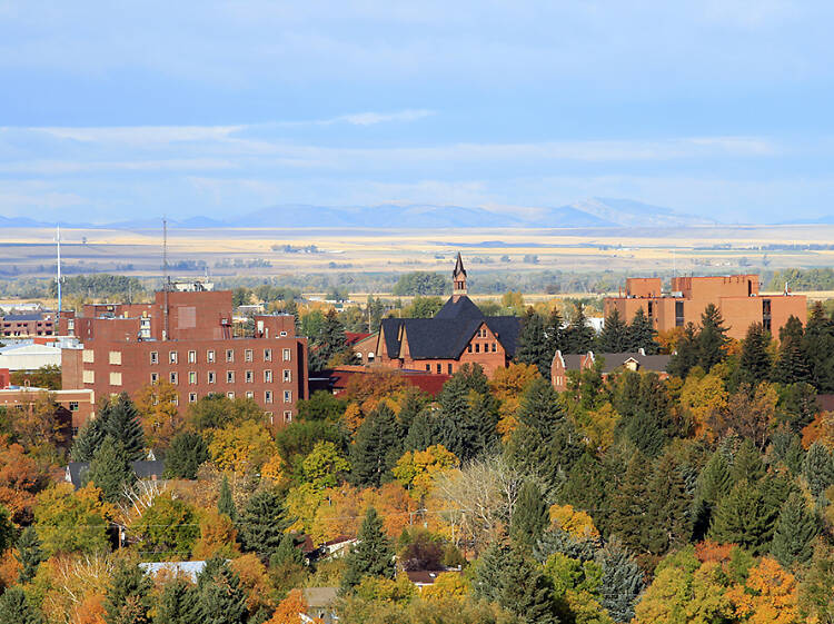 Bozeman, MT