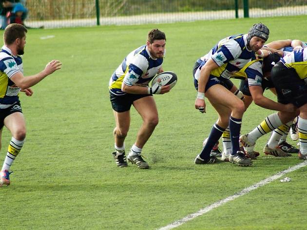 Rugbi Rugbi