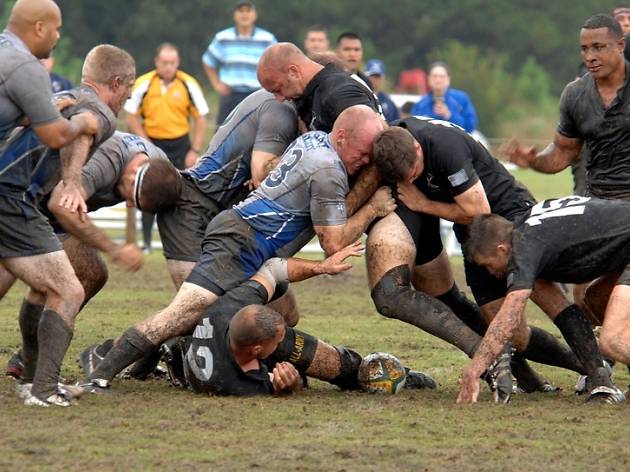 Rugbi Rugbi