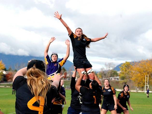 Rugbi Rugbi