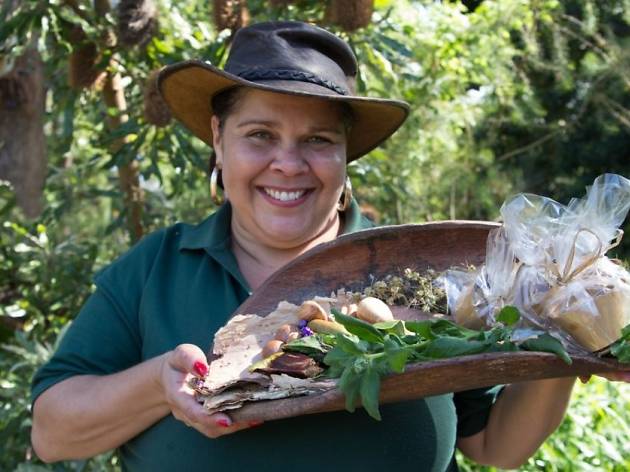 Native ingredients you can find growing wild in Sydney Native ingredients you can find growing wild in Sydney