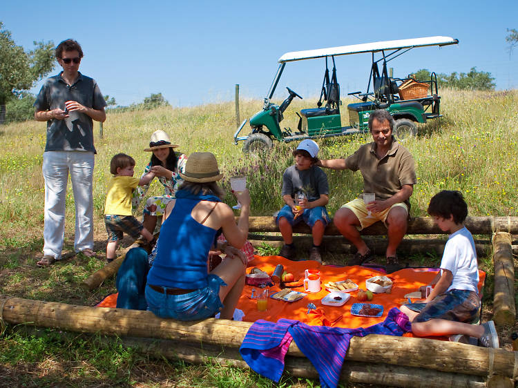 Bicicletas, hortas, animais e passeios no Alentejo