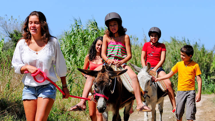 Quinta Pedagógica Burros do Magoit