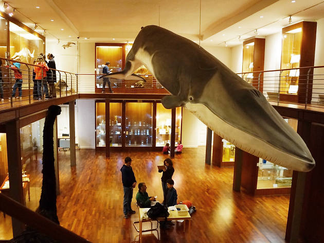 Museu Nacional da História Natural e da Ciência Museu Nacional da História Natural e da Ciência