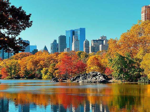 Best fall activities for kids, tweens and teens in NYC