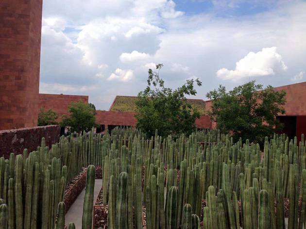 Museo Interactivo Laberinto de las Ciencias y las Artes
