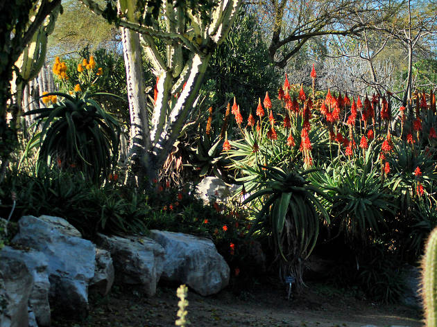 South Coast Botanical Garden