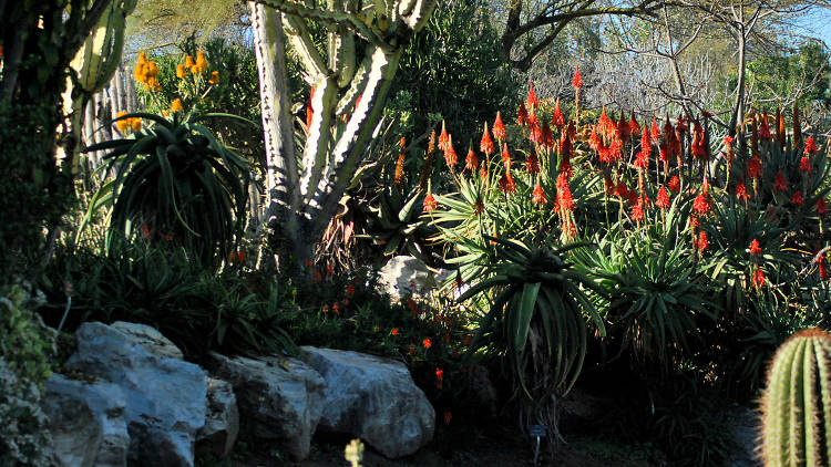 The Palos Verdes Peninsula