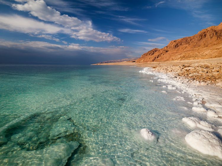 Dead Sea  Tourist Israel