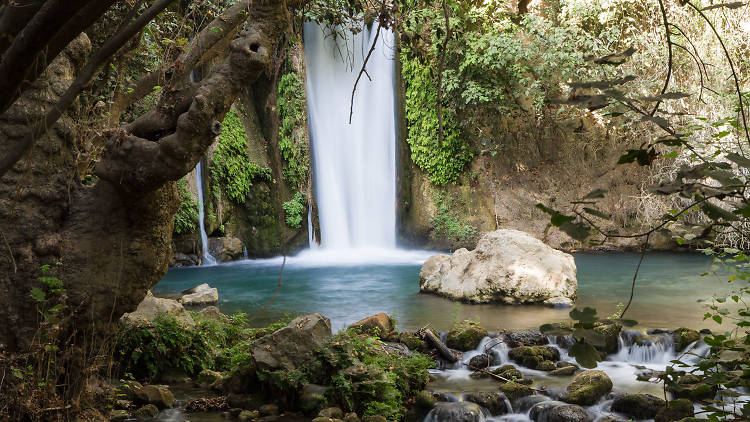 Banias Nature Reserve