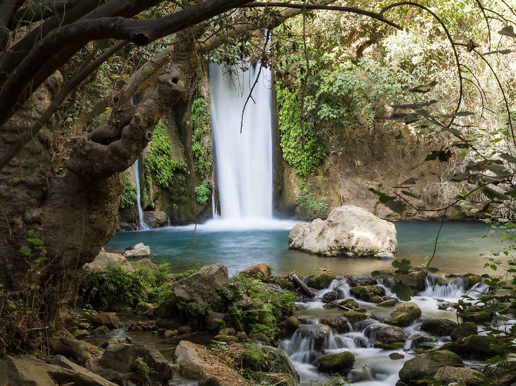 Banias Nature Reserve