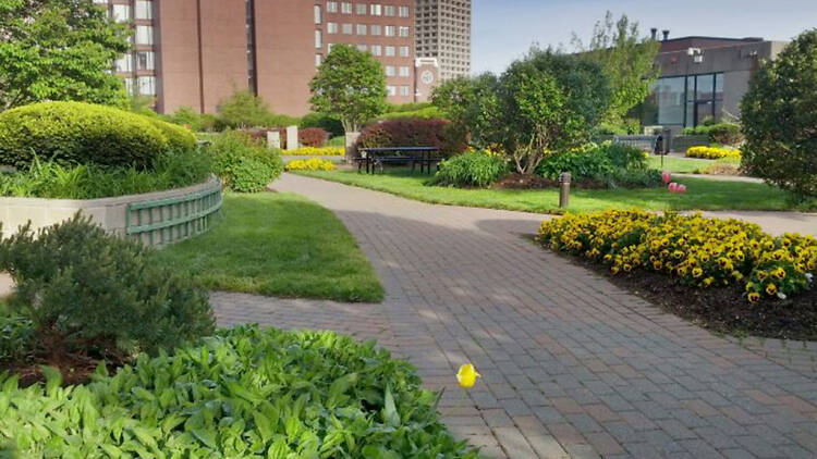 Kendall Square Rooftop Garden