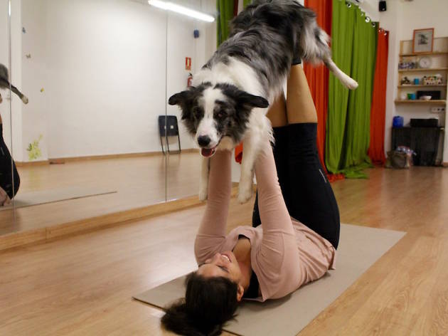 Doga Doga