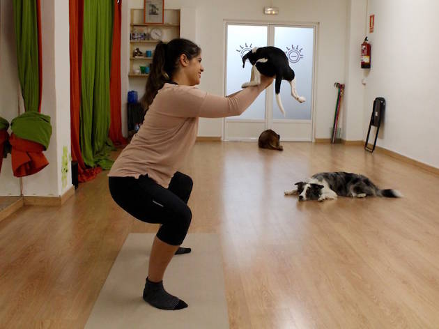 Doga Doga