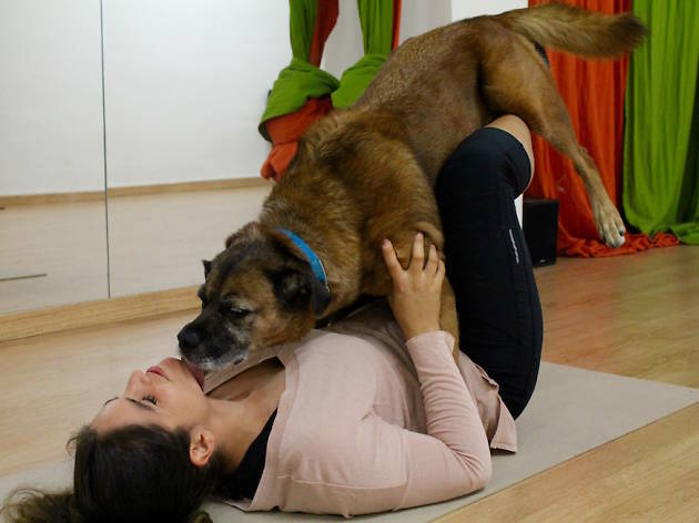 Doga Doga