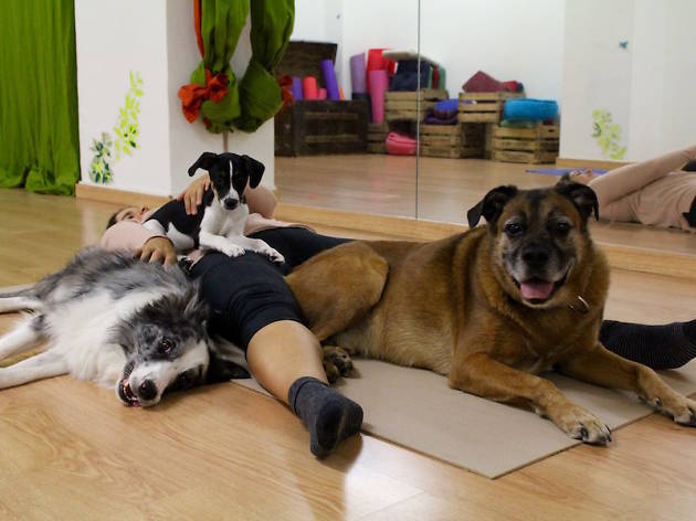 Doga Doga