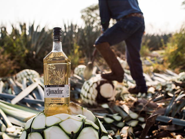 Tequila El Jimador Tequila El Jimador