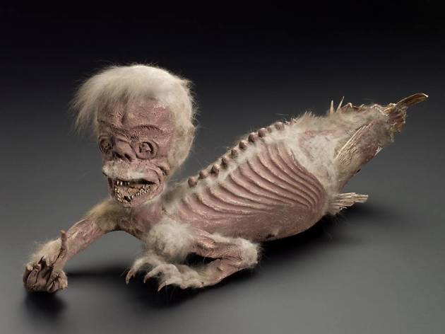 Five weird and fascinating things every Londoner needs to see at... the Science Museum Five weird and fascinating things every Londoner needs to see at... the Science Museum