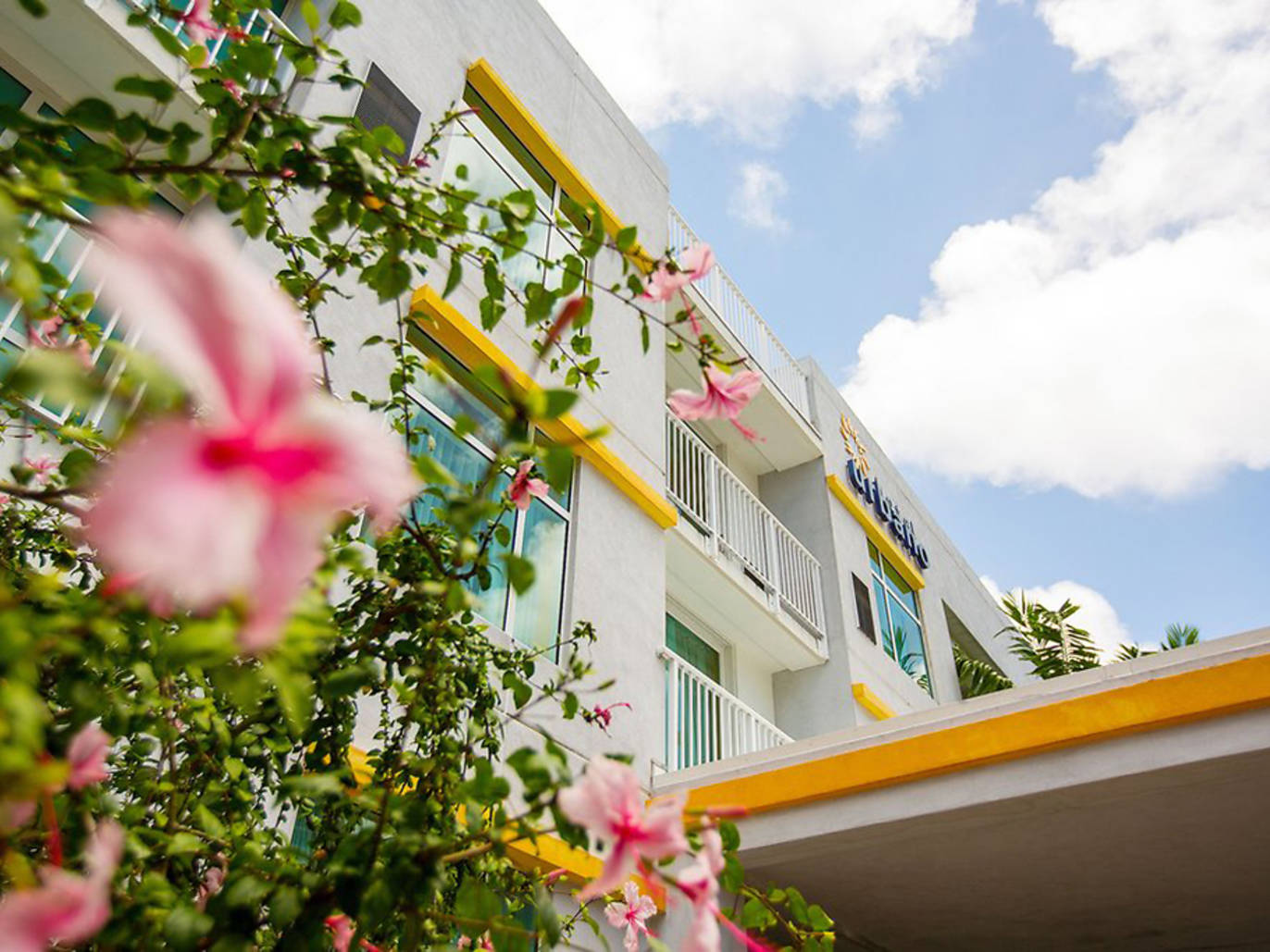 12 Best Cheap Hotels in Miami | Where to get the best deals on Miami's