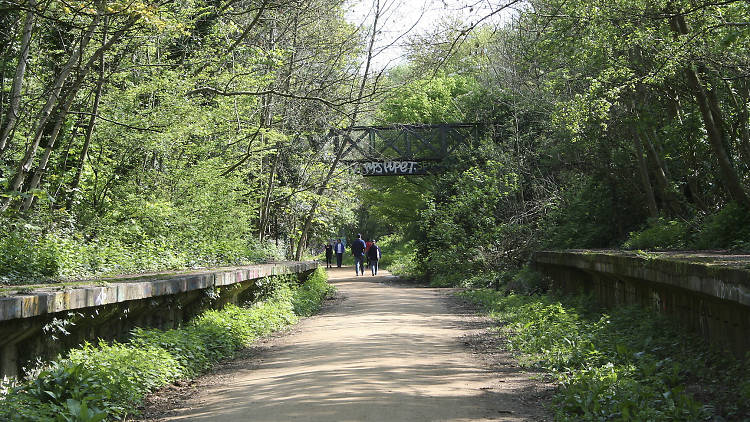 Walk London’s longest nature reserve