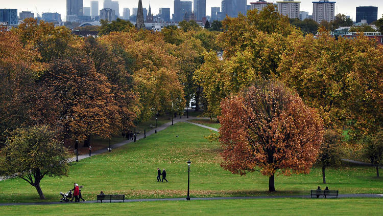 Picnicking on Primrose Hill