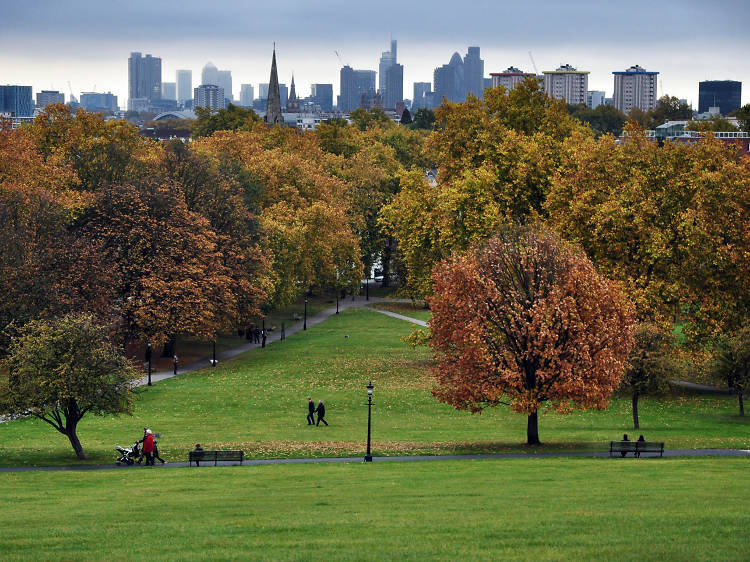 Picnicking on Primrose Hill