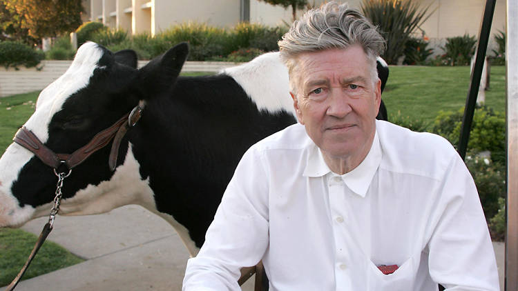 David Lynch