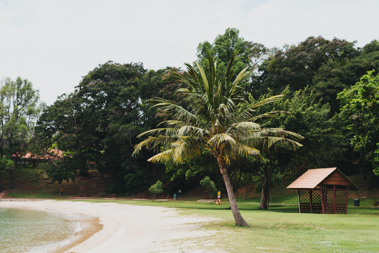 Things to do in and around Singapore Time Out Singapore