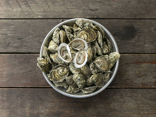 Waterfront oyster fest will be serving up 30,000 oysters tomorrow Waterfront oyster fest will be serving up 30,000 oysters tomorrow