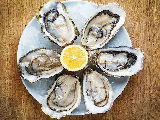 Marin County Oyster Farm Tour Marin County Oyster Farm Tour