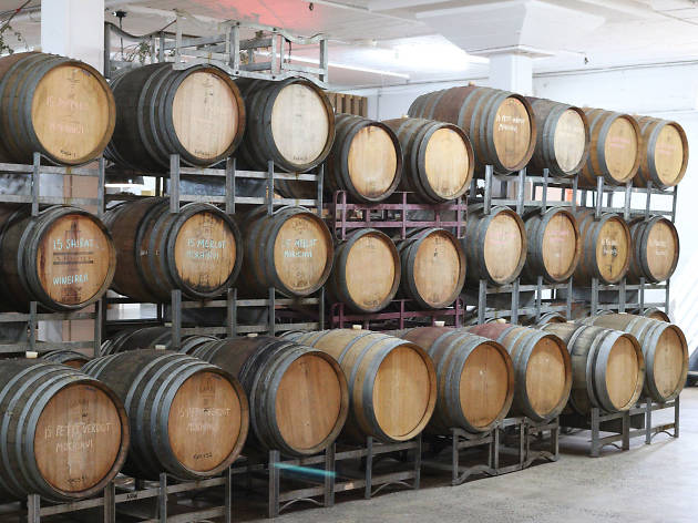 Dave's Brewery Tours Dave's Brewery Tours
