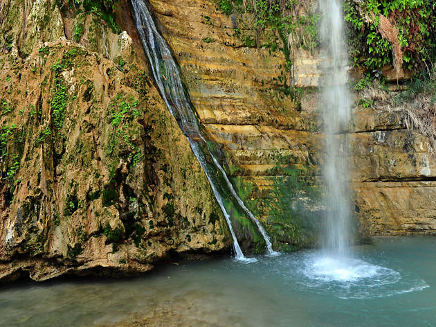 Ein Gedi Nature Reserve Attractions in Gedi, Israel