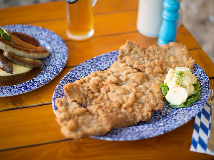 Plate of schnitzel