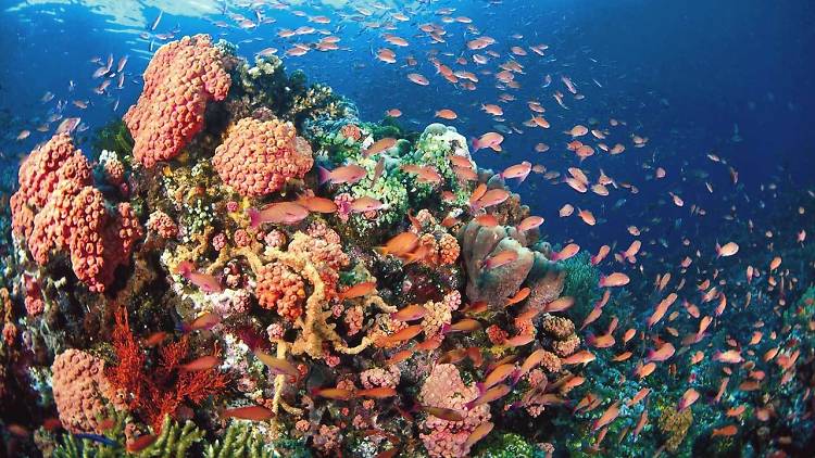 Mergui Archipelago, Myanmar